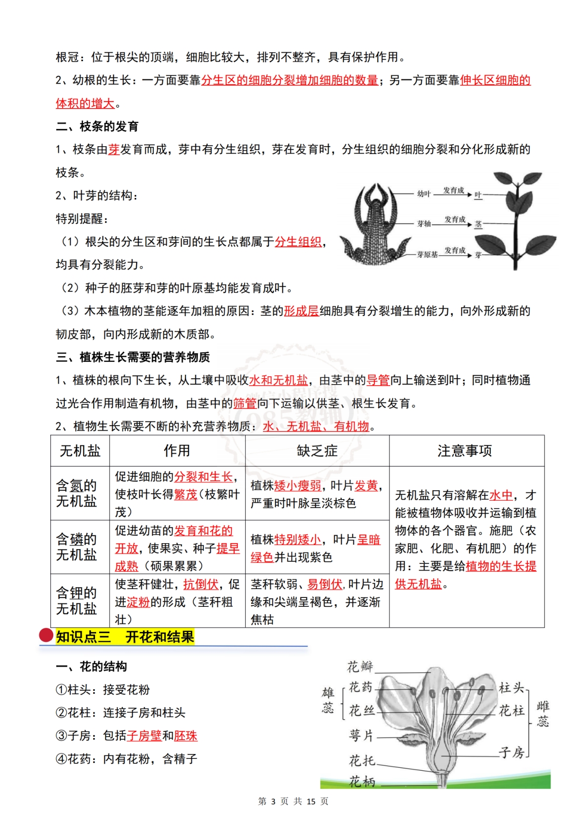 图片[3]-七年级生物下学期-期中复习必背知识清单（背诵版）（人教版）.pdf-七宝：认真做好一件事