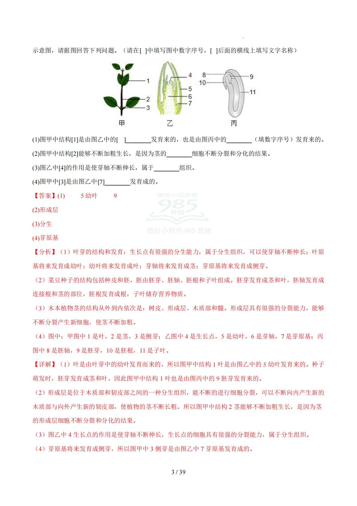 图片[3]-非选择必刷30题（解析版）.pdf-七宝：认真做好一件事