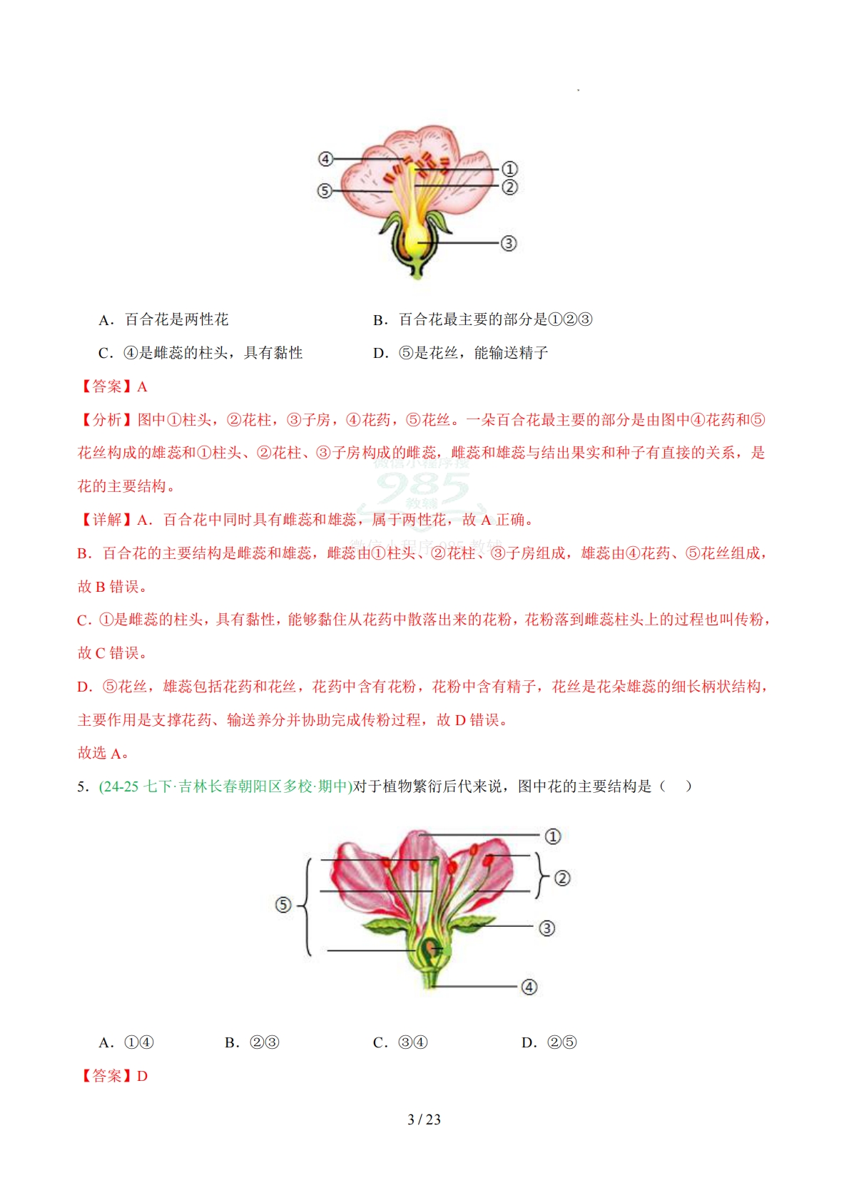 图片[3]-专题03 开花和结果（人教版）（解析版）.pdf-七宝：认真做好一件事