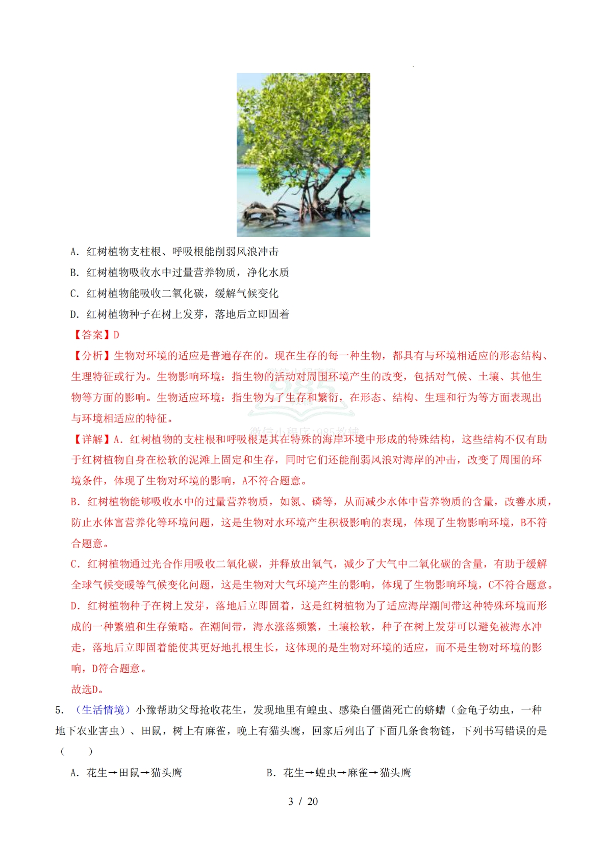 图片[3]-七年级生物期中模拟卷（全解全析）（新教材苏教版）.pdf-七宝：认真做好一件事