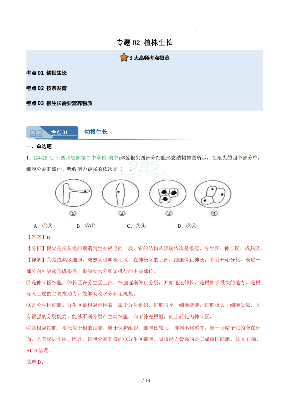 专题02 植株生长（人教版）（解析版）.pdf-七宝：认真做好一件事