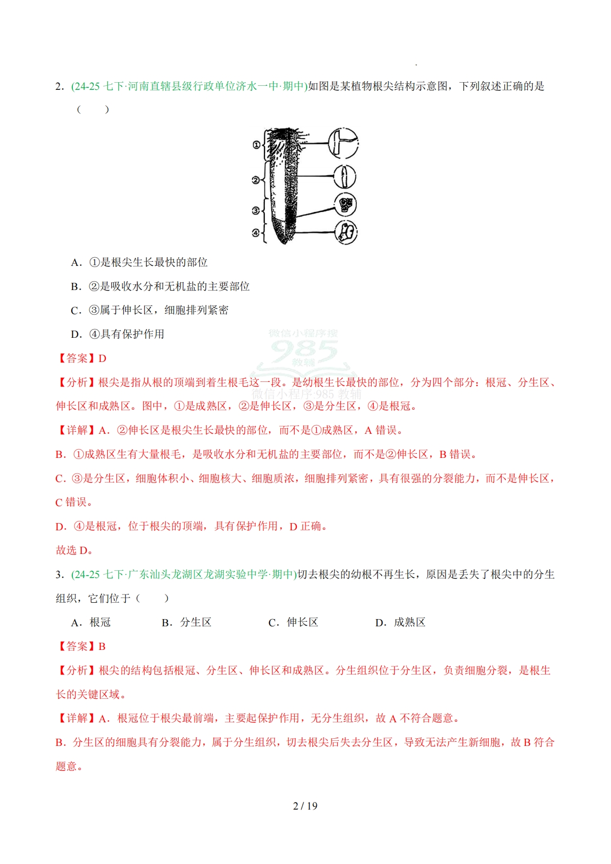 图片[2]-专题02 植株生长（人教版）（解析版）.pdf-七宝：认真做好一件事