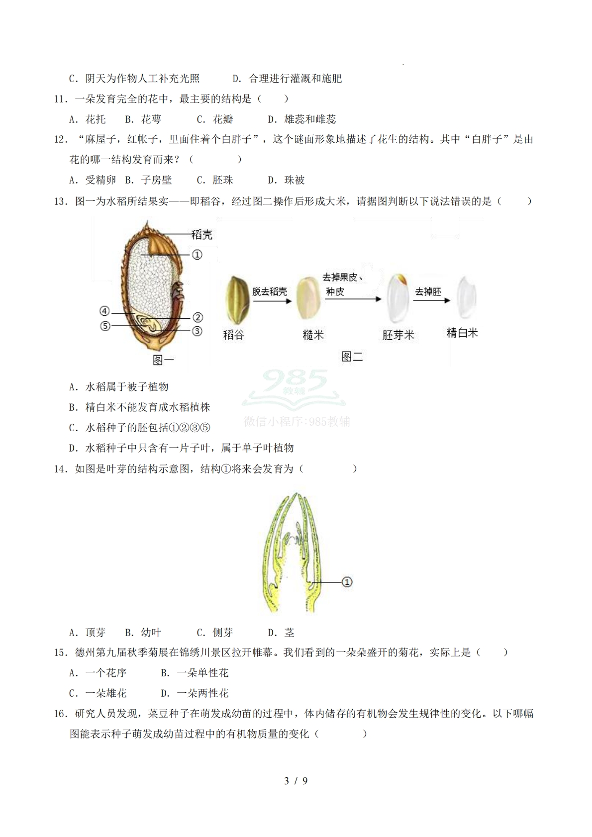 图片[3]-七年级下学期生物期中模拟卷【测试范围：新教材济南版七年级下册第三单元】（考试版）.pdf-七宝：认真做好一件事