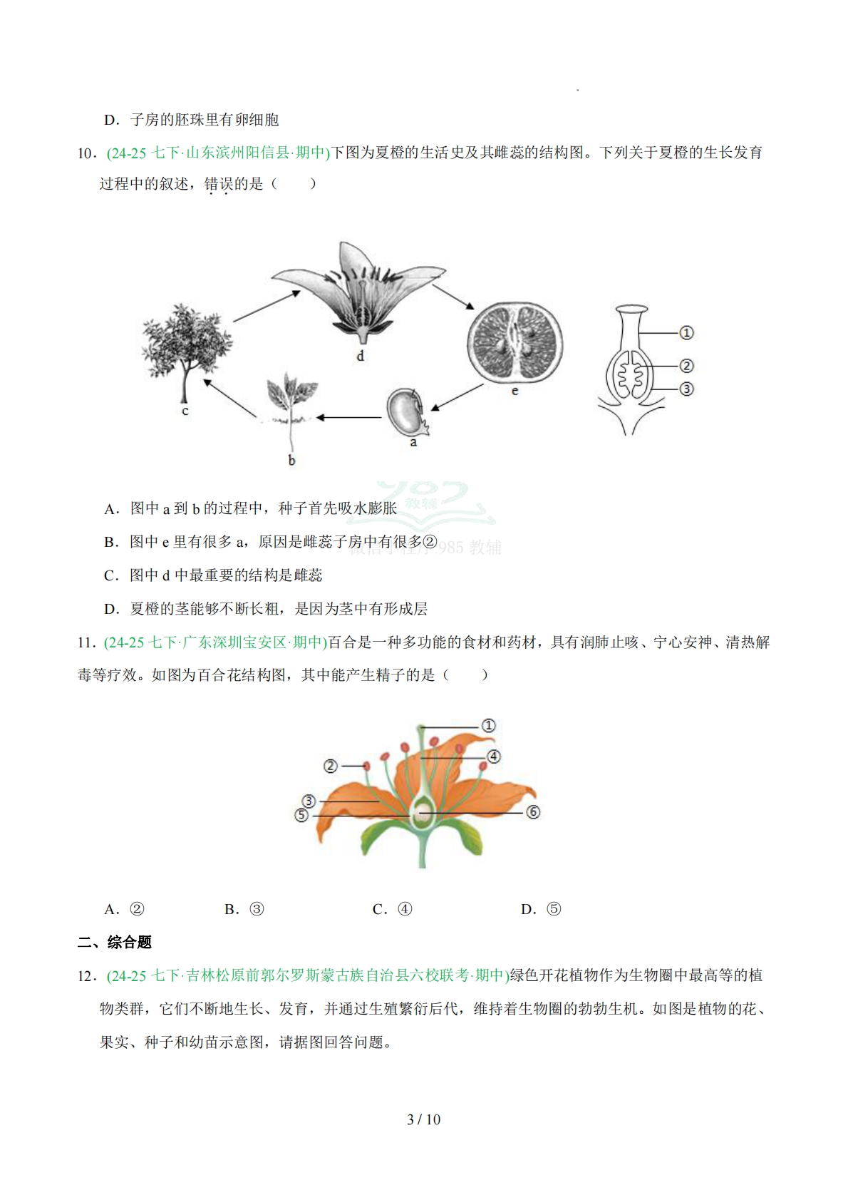 图片[3]-专题03 开花和结果（人教版）（原卷版）.pdf-七宝：认真做好一件事