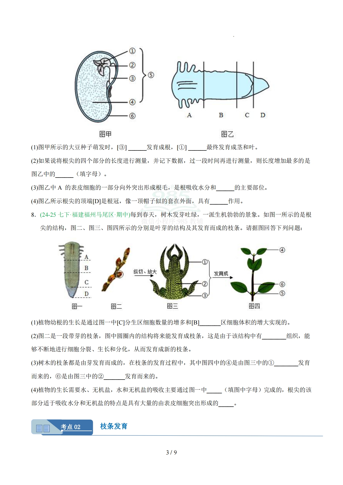 图片[3]-专题02 植株生长（人教版）（原卷版）.pdf-七宝：认真做好一件事