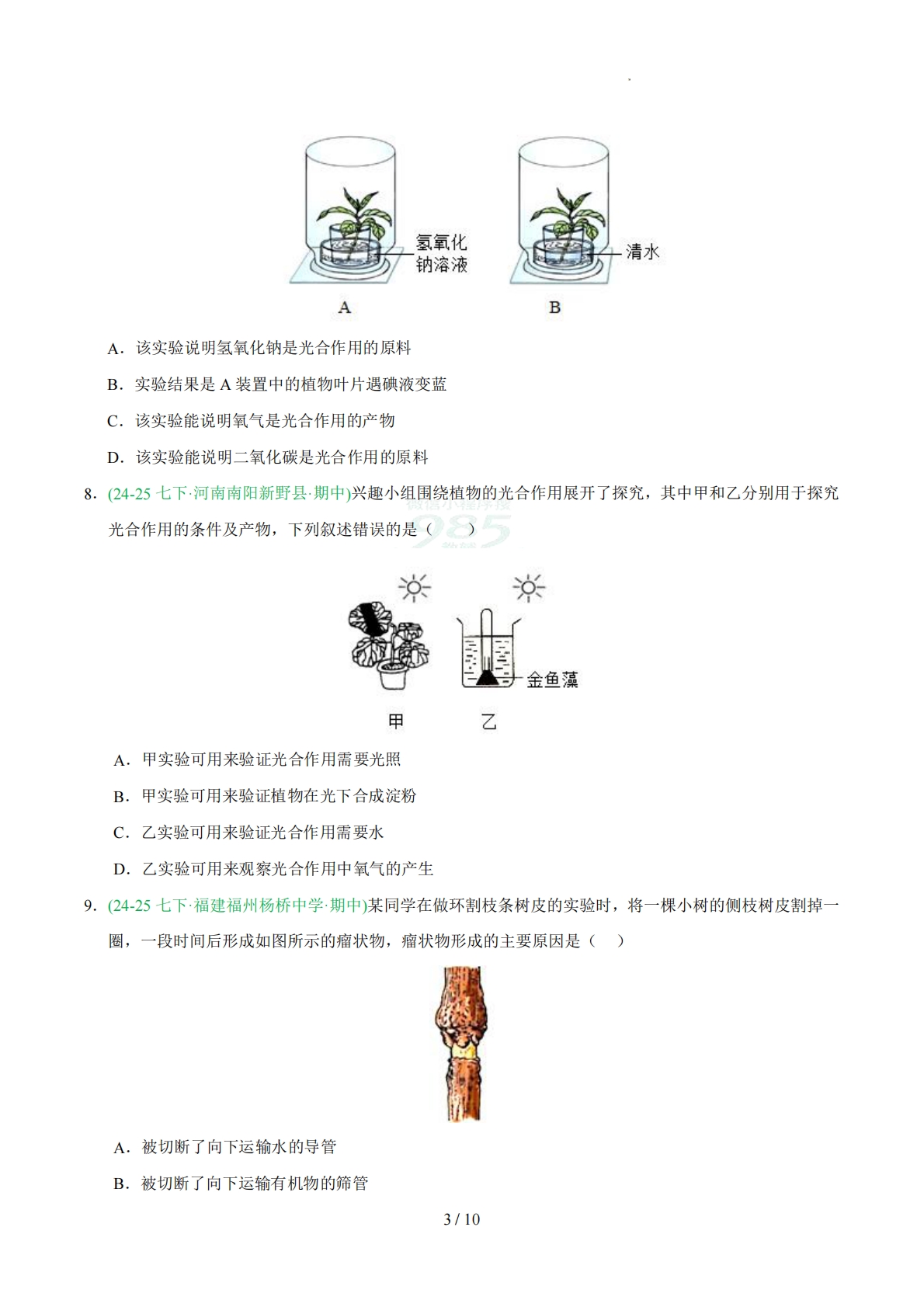 图片[3]-专题05 光合作用（人教版）（原卷版）.pdf-七宝：认真做好一件事