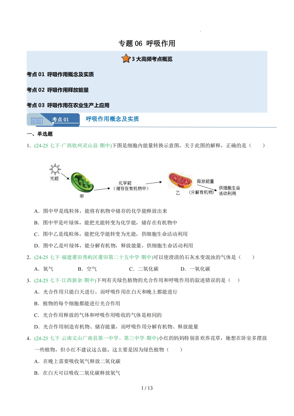 专题06呼吸作用（人教版）（原卷版）.pdf-七宝：认真做好一件事