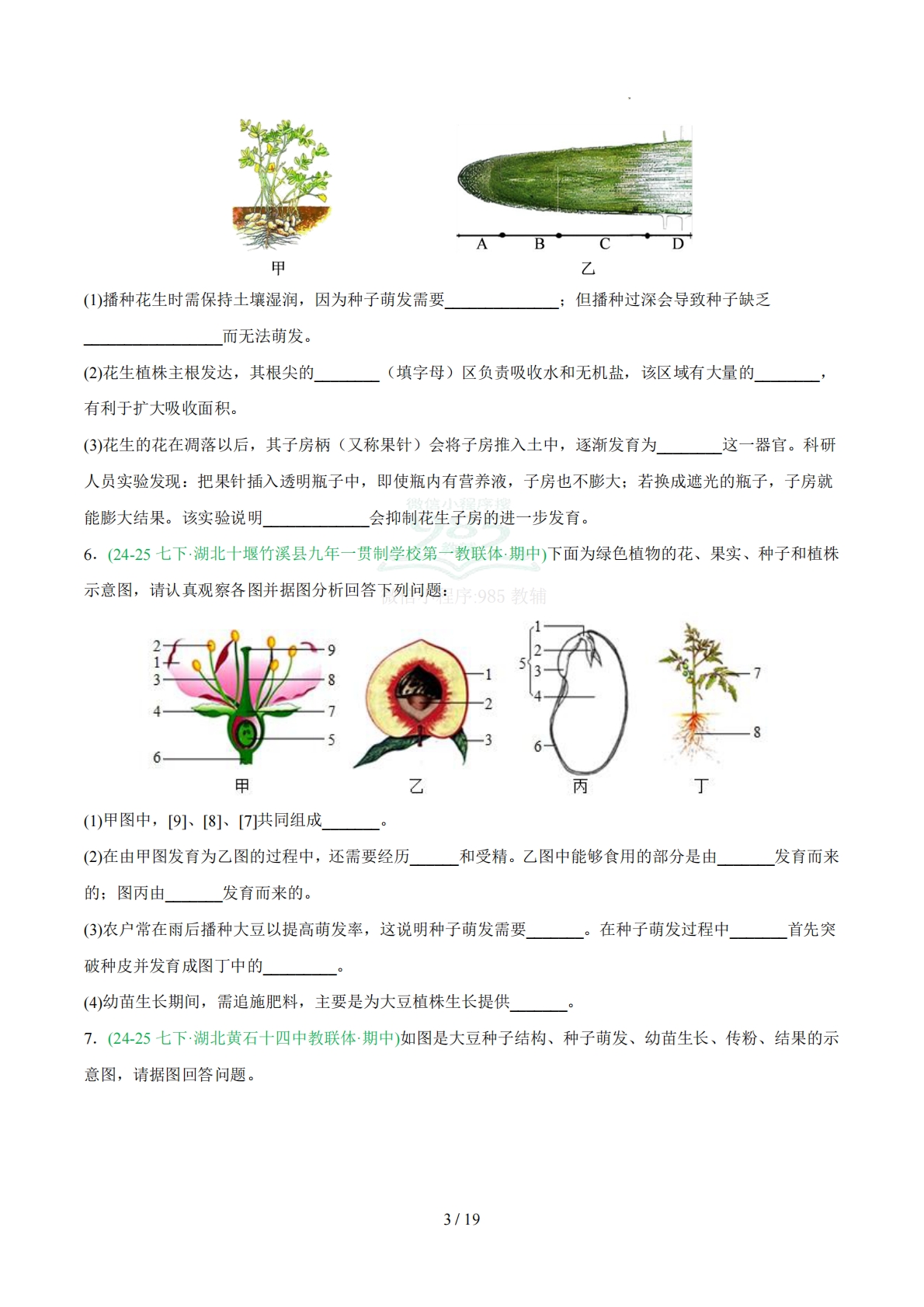 图片[3]-非选择必刷30题（原卷版）.pdf-七宝：认真做好一件事