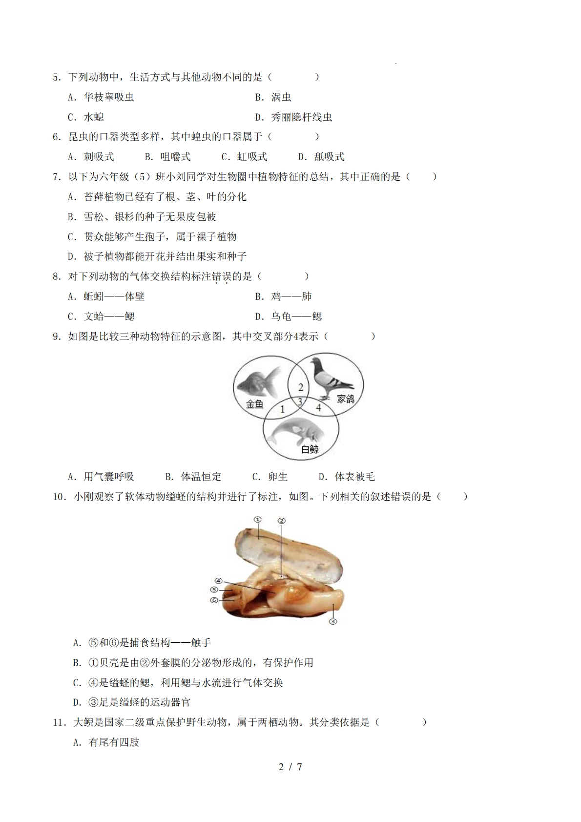 图片[2]-六年级生物期中模拟卷【测试范围：新教材鲁科版五四学制第三单元第一章、第二章】（考试版）.pdf-七宝：认真做好一件事