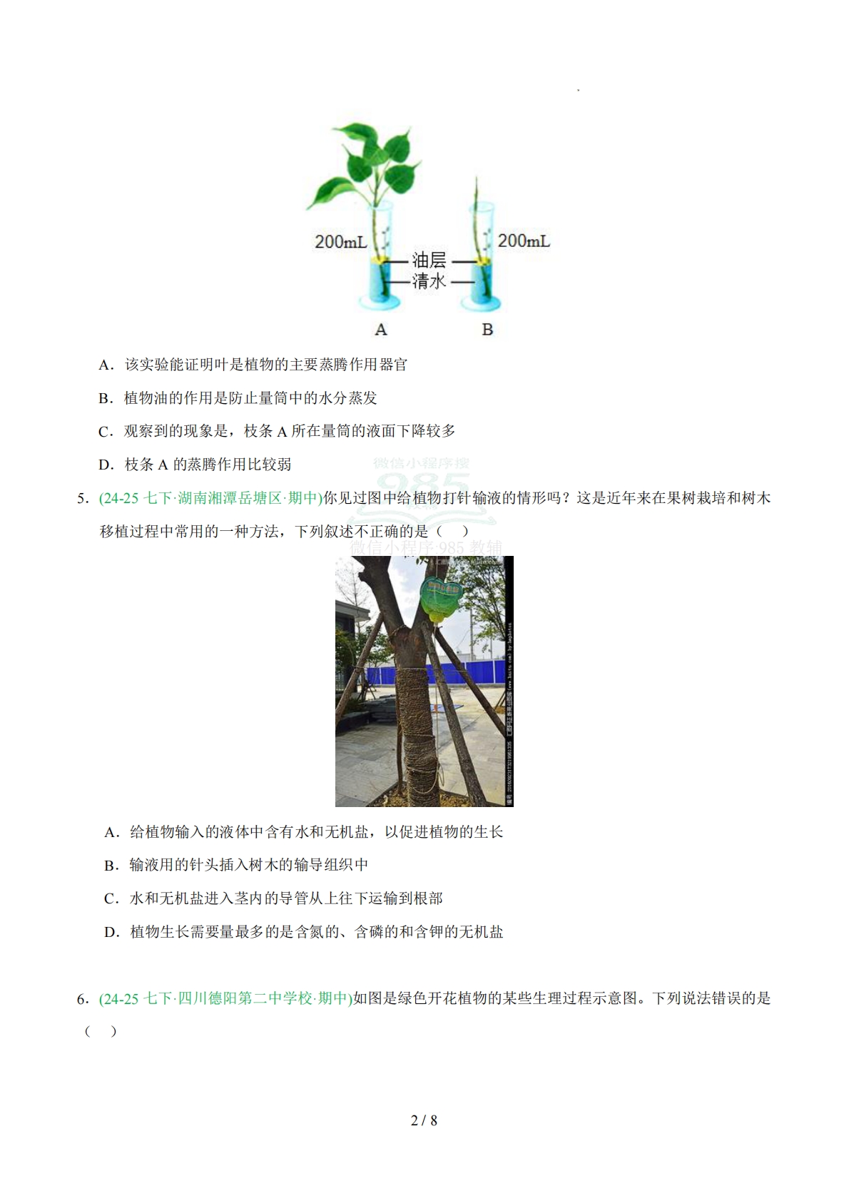 图片[2]-专题04 蒸腾作用（人教版）（原卷版）.pdf-七宝：认真做好一件事