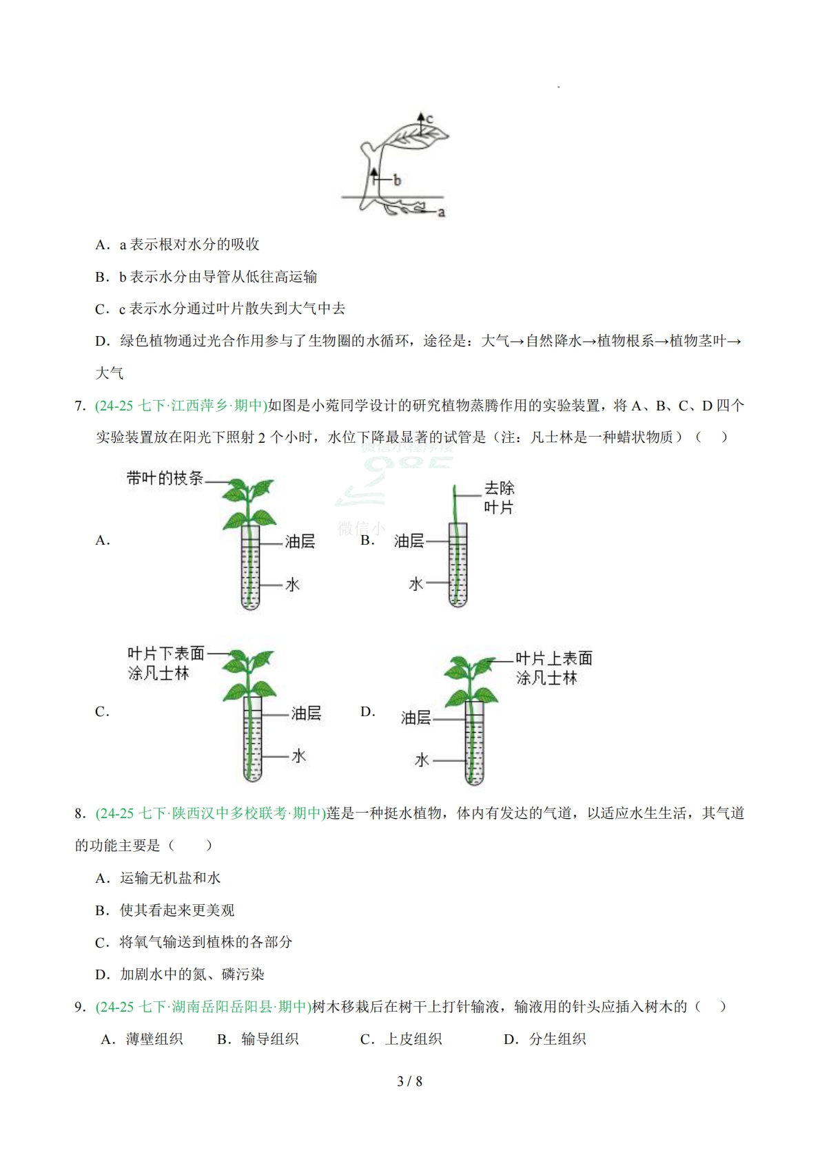 图片[3]-专题04 蒸腾作用（人教版）（原卷版）.pdf-七宝：认真做好一件事