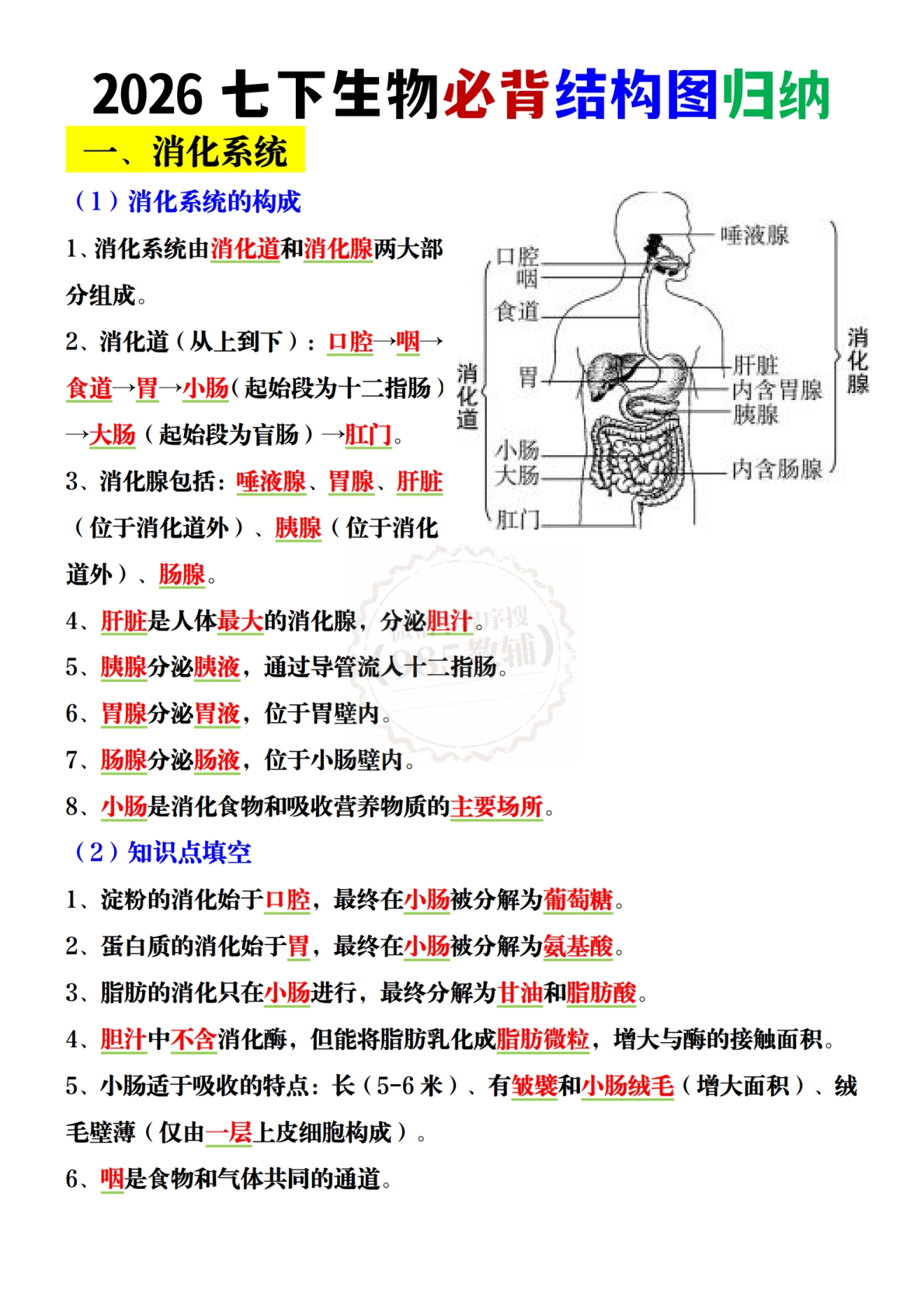 2026七下生物必背结构图归纳.pdf-七宝：认真做好一件事