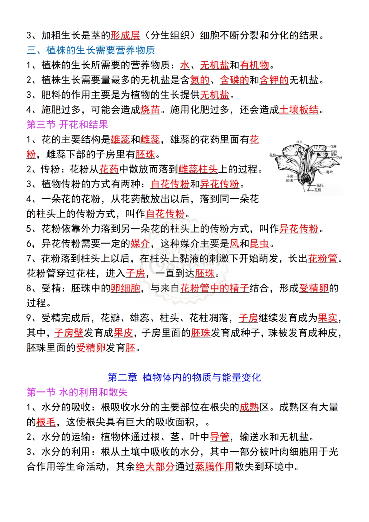 图片[2]-七下生物期中常考重点考点梳理.pdf-七宝：认真做好一件事