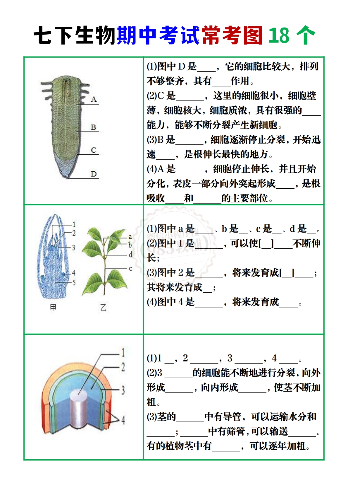 七下生物期中考试常考图18个.pdf-七宝：认真做好一件事