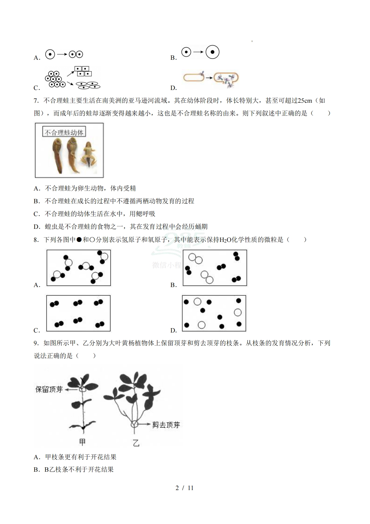 图片[2]-七年级科学下学期期中模拟卷01【测试范围：1.1~2.5】（考试版）.pdf-七宝：认真做好一件事