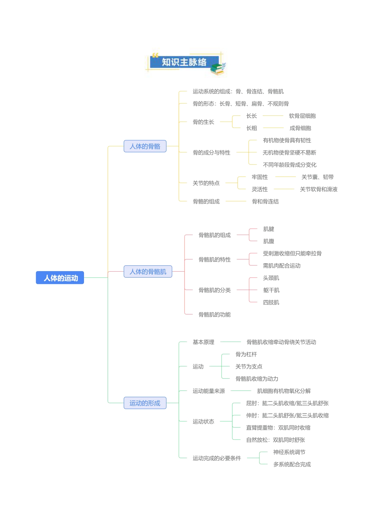 图片[2]-第11章 人体的运动（知识清单）（解析版）.pdf-七宝：认真做好一件事