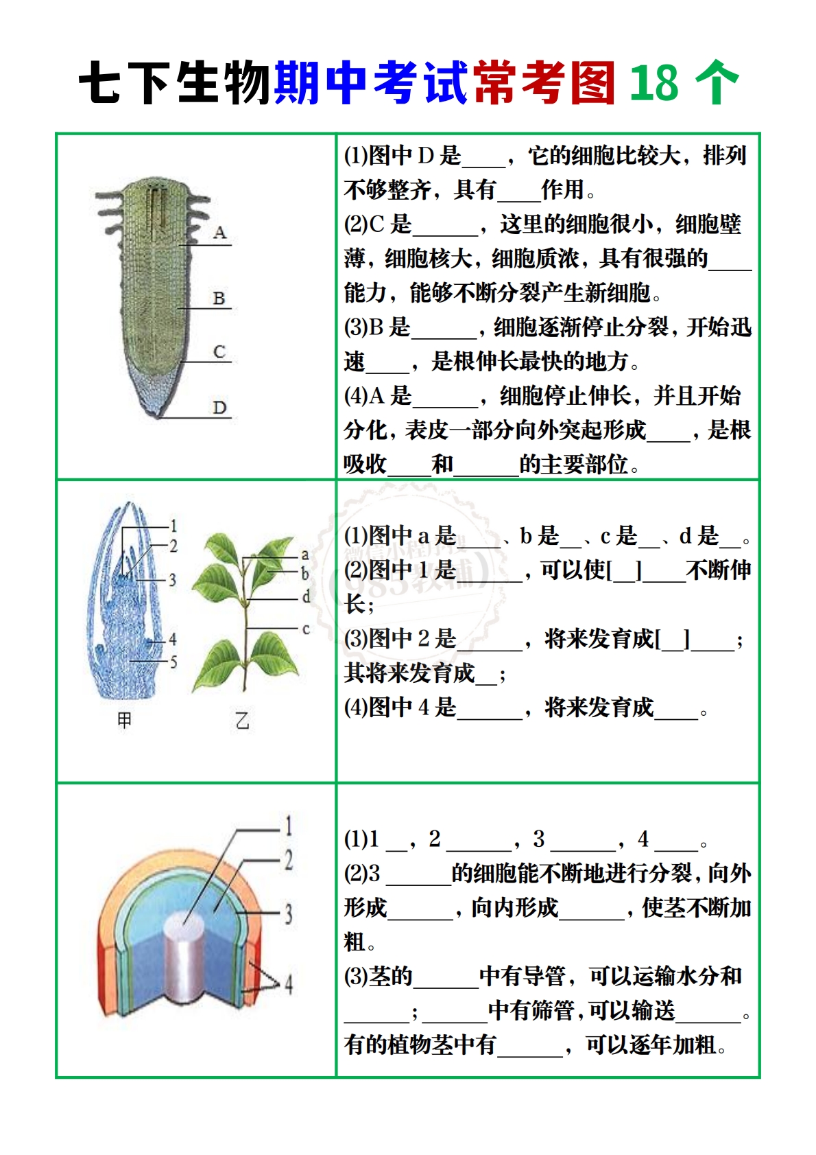 七下生物期中考试常考图18个.pdf.pdf-七宝：认真做好一件事