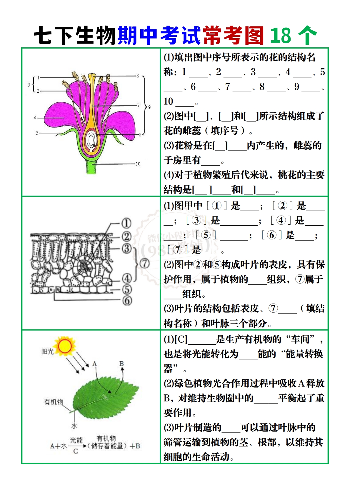 图片[2]-七下生物期中考试常考图18个.pdf.pdf-七宝：认真做好一件事