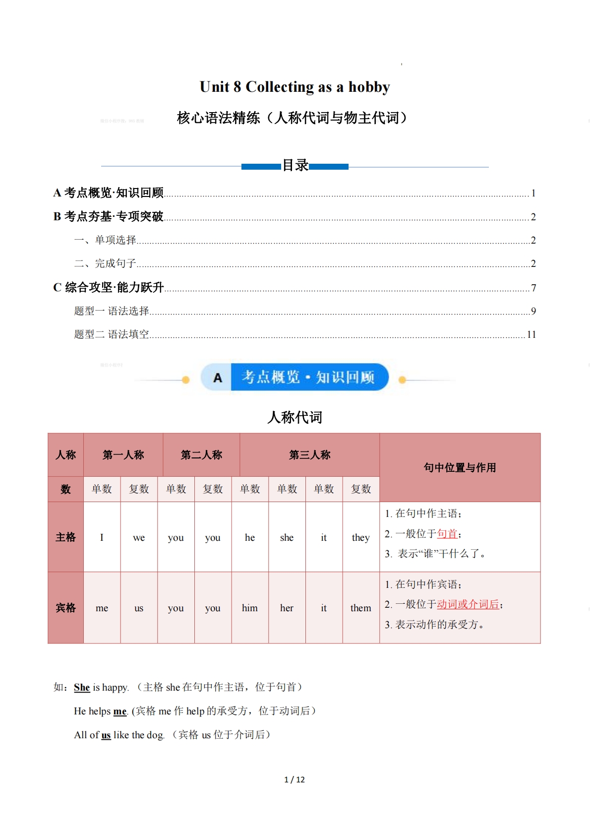 Unit 8 Collecting as a hobby 人称代词与物主代词（单元核心语法精练）（解析版）.pdf-七宝：认真做好一件事