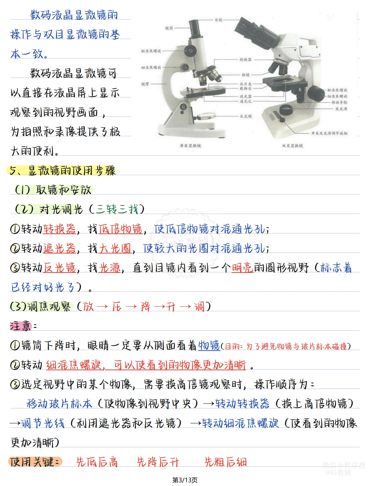 图片[3]-七年级生物上册第一单元.pdf-七宝：认真做好一件事