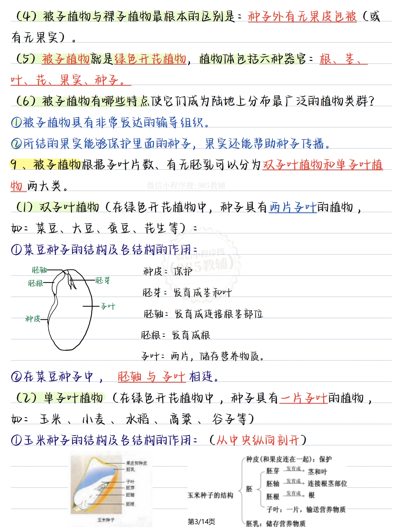 图片[3]-七年级生物上册第二单元.pdf-七宝：认真做好一件事